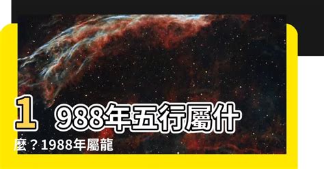 1988 屬什麼|【1988 什麼龍】1988 年五行屬什麼龍？你的命運、姻緣等你來解。